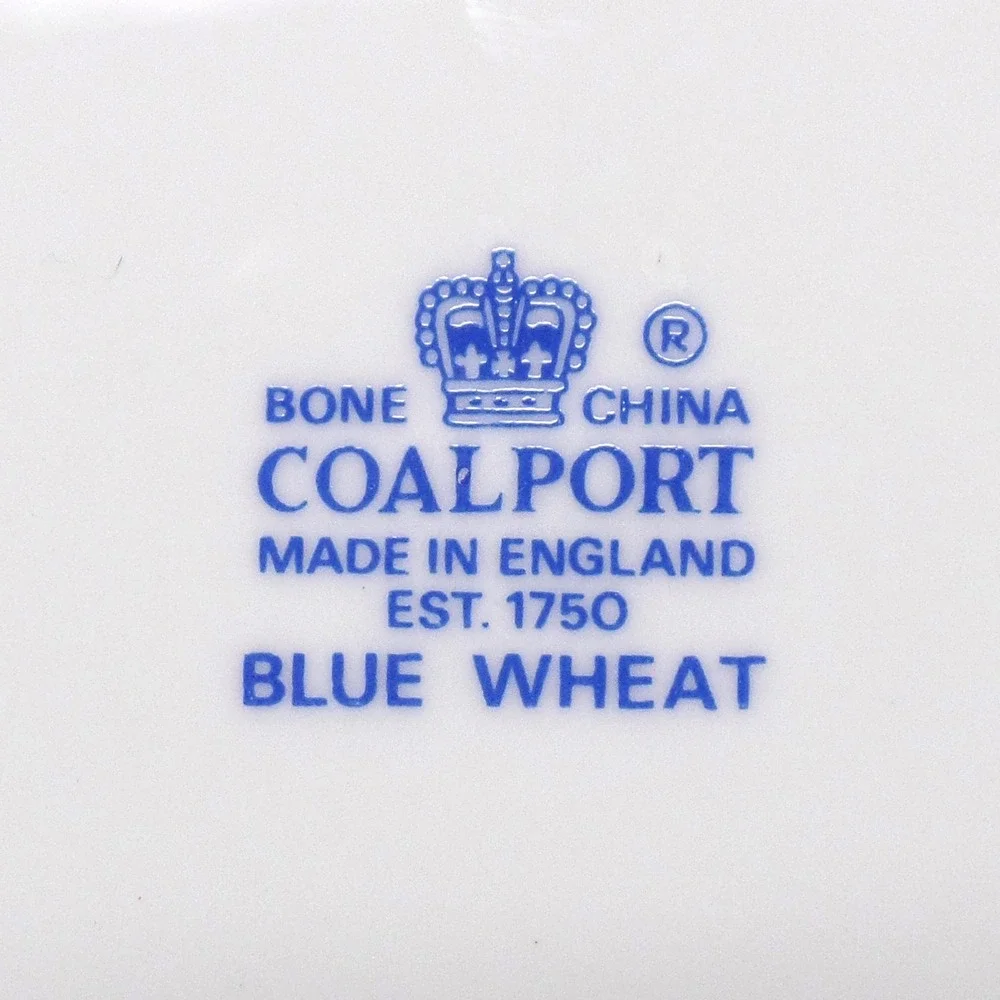 Vintage Coalport Bone China Blue Wheat Rimmed Soup Bowl
